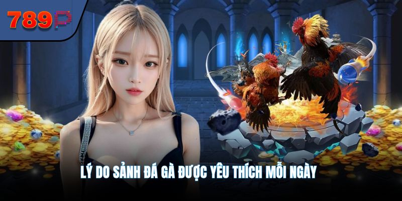 Lý do sảnh Đá Gà được yêu thích mỗi ngày